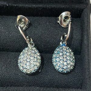 Elegant Silver and Blue Drop Earrings